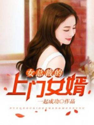 钻石劫案详情
