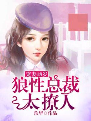 小美人她又娇又纨绔免费阅读无弹窗
