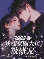 从唐人街开始起点中文网